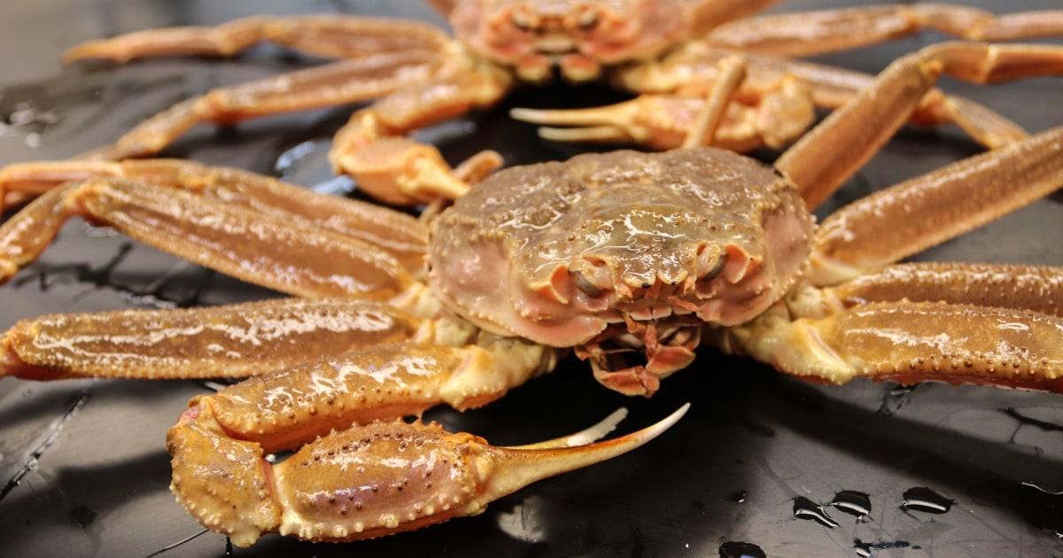 In search of 10 billion missing snow crabs, scientists monitor marine heat waves